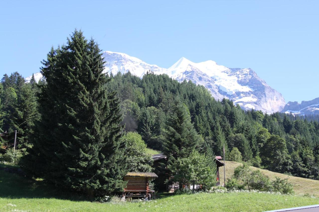 Staubbachbaenkli Leilighet Wengen Eksteriør bilde