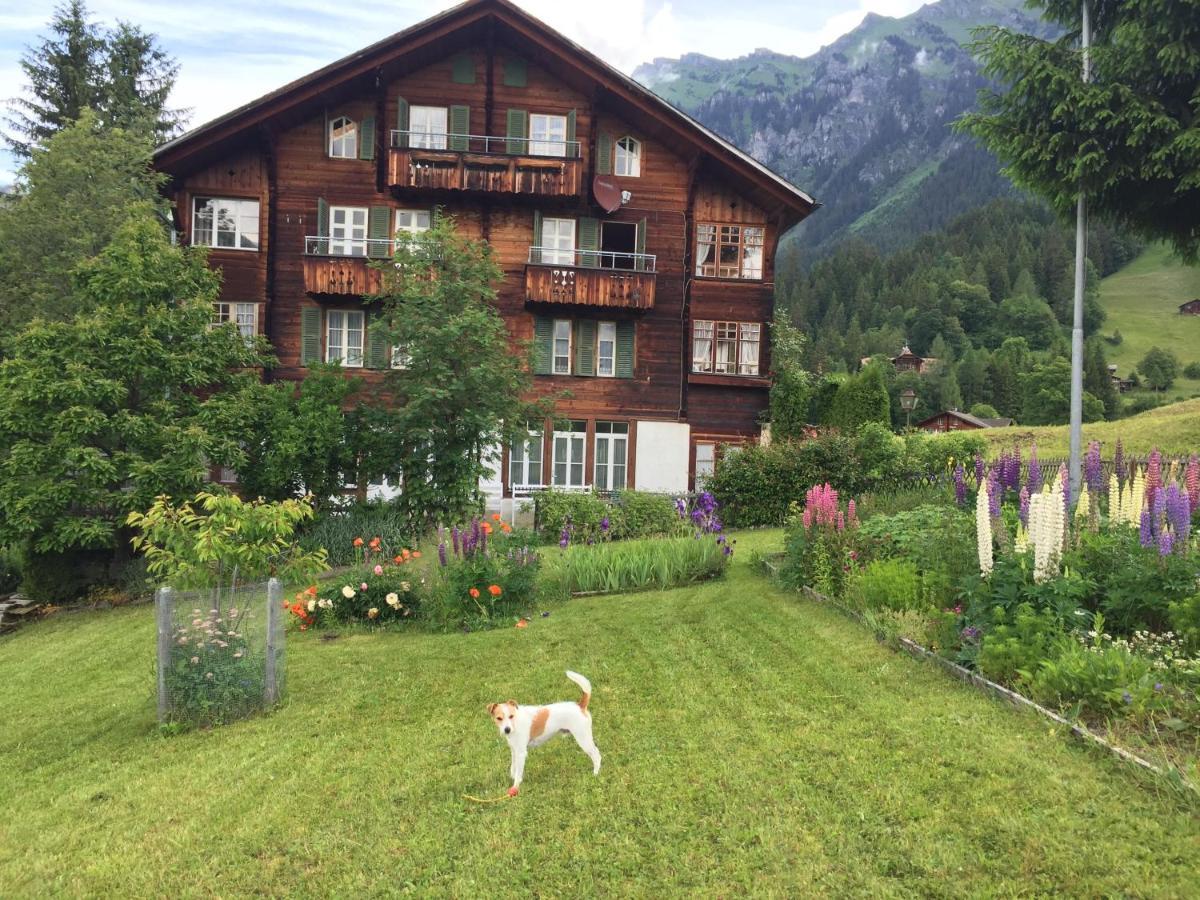 Staubbachbaenkli Leilighet Wengen Eksteriør bilde
