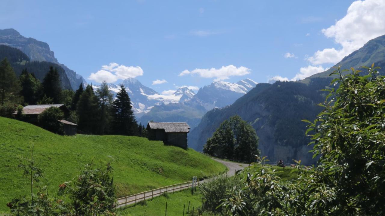 Staubbachbaenkli Leilighet Wengen Eksteriør bilde