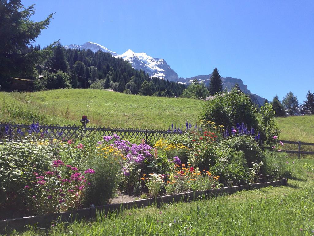 Staubbachbaenkli Leilighet Wengen Eksteriør bilde